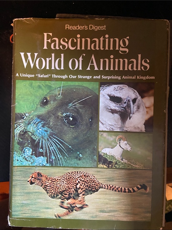 Reader'S Digest Other - Vintage 70s 1970s Reader’s Digest Animal photo coffee table book World Animals